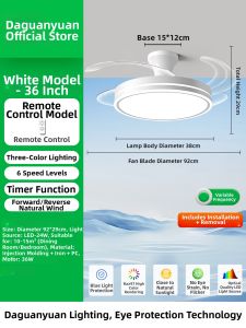DGY | Invisible Ceiling Fan Light
