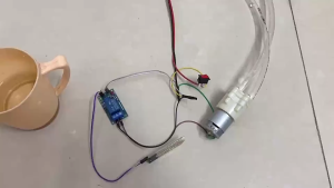 [Lập Trình Nhúng A-Z] Bộ DIY Máy Bơm Tưới Cây Tự Động Với Nguồn 12V