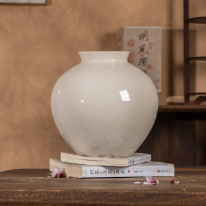 Water Cultivation Compatible Decorative Ceramic Vase