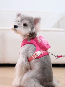 Dog Harness with Backpack Pet Self-Backpack for Walking Travel Small and Medium-sized Vest type puppy leash small dog pet harness anti-breakaway dog walking rope Pet Dog Self-Backpack