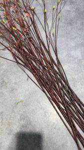 Bunga Dragon Beard Ranting Artificial