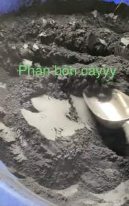Than xoan xay mịn 1kg ( 300 mesh )