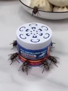 Fly Killer Gel Safe And Non-Toxic Insect Killer 100G Powerful Insect Repellent No Flies For 10Years