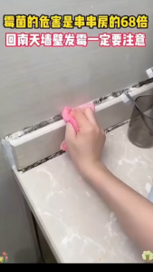 OWSLEY Mold Removal Spray 500ml | Anti-mold spray for walls refrigerators indoor and outdoor areas 除霉剂 500ml