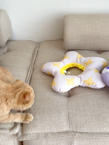 Dog Cat Elizabeth Collar Cone Pet Head Cover Anti-licking Collar Soft Cotton Head Cover Neck Ring