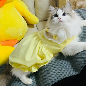 Princess Style Breathable Anti-Shedding Pet Clothes for Cats And Dogs Spring Autumn Seasonal Blue Gradient Color Pet Apparel