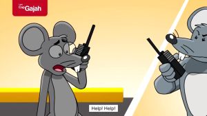 CAP GAJAH Set Stik Lem Lalat Isi 12 Fly Glue Stick Trap Murah