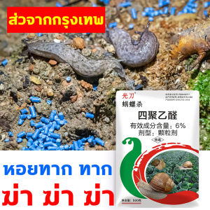 หอยทาก ฆ่า ฆ่า ฆ่า เมทัลดีไฮด์ 500g กำจัดหอย ยาหอย ไม่กลัวน้ำ หอยทาก ฆ่าแต่หอยส่วนตัว ถูกเติมเพิ่มโครงสร้าง ยังไม่เป็นอันตรายต่อพืช กำจัดหอย ห้องอำเภอ สุขพัฒนา เป็นแหล่งที่น่าสนใจ