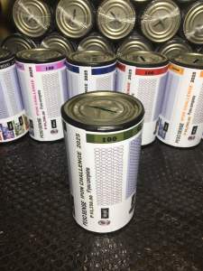 Coinbank 53k ipon challenge 6inches green edition save and shades