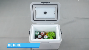 Alpicool fridge P8/P15 Car Refrigerator Outdoor Portable Camping Refrigerator 冰箱 12V24V Dual-use Car Truck Refrigerator 手提便携式 迷你冰箱
