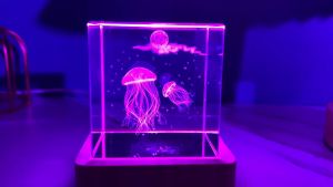 Đèn Ngủ Pha Lê Hình Lập Phương Sinh Vật Đại Dương  Ánh Sáng Đổi Màu Đèn Decor Trang Trí Quà Tặng Người Thân