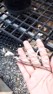 ตาข่ายดักนก จับนก อวนดักนก ดางดักนก ข่ายดักนก เรด้าดักนก ที่ดักนก จับนก พิราบ ดักค้างคาว ตาข่ายป้องกันนก สวนผลไม้