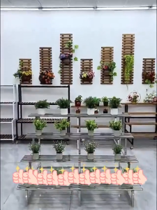 Giá đỡ hoa nhiều tầng dạng bậc thang giá trưng bày cây cảnh giá đỡ cây cảnh bằng sắt