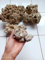 batu karang laut / 1 kg. 