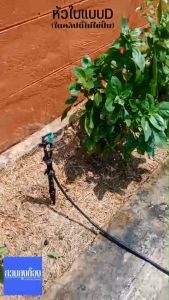 (100อัน)มินิสปริงเกอร์ใบแบบDสีเขียว+วาล์ว(เชื่อมต่อกันด้วยสายไมโคร)/สปริงเกอร์+วาล์ว/หัวจ่ายน้ำ+วาล์ว/หัวฉีดน้ำ+วาล์ว