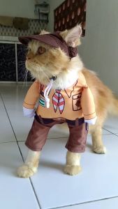 BAJU KUCING KARAKTER SERAGAM SEKOLAH PRAMUKA LUCU GEMES