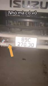 Đèn bi 1 bóng 2 màu chạy 12v đến 24v