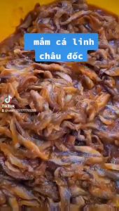 Mắm Cá Linh – Đặc Sản Miền Sông Nước 1kg và 500gr