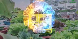 Chế phẩm EM Plus Trichoderma Sfarm - Gói 200 gram