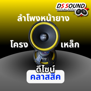 DS soundดอกลำโพง10นิ้ว 200วัตต์จำนวน1ดอก/2ดอก เสียงดีรับประกัน 8OHM ลำโพงเสียงกลาง10นิ้ว ดอกลำโพงบ้าน ตู้ลำโพงบ้าน เสียงนุ่มๆ ฟังสบาย