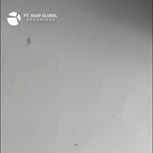 WORM GEARBOX SRV63-30-80B5