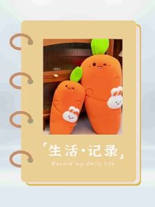 GUAIBUDIAN | Rabbit Carrot Design Stuffed Plush Pillow