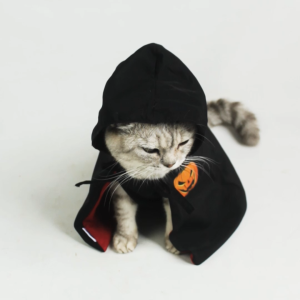 Baju kucing anjing cowok cewek bulu lucu kostum karakter kecil murah - Bukipet Halloween Cloak Coat