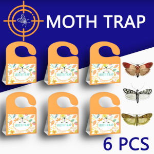 SilentKing 6PCS Moths Trap Pheromone Moth Stickers Clothes Pantry Restaurant Food Pest Control Moth Traps