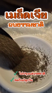 Hot Deal ! เมล็ดเจีย 2แถม2 พร้อมทาน อบธรรมชาติ ไม่ปรุงแต่ง ทานเพื่อสุขภาพที่ดี เพียง 139 บาทเท่านั้น