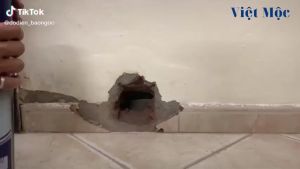 Keo bọt nở Apollo Foam 750ml (900g) loại dùng vòi