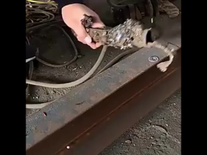 KOVEX แม่เหล็กจับสายดิน คีบจับสายดิน พร้อมหางปลา สายกราวน์แม่เหล็ก มี 1 หัว / 2 หัว（พร้อมส่ง）