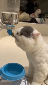 Drink Water Nozzle Pet Water Portable Pet Dog Cat Drinking Nozzle Feeder Dog Cage Cats Accessories
