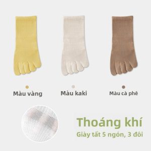 MiiOW | Tất ngắn năm ngón thoáng khí cho nữ mùa hè chống mùi chống nấm mốc tất lưới mỏng không xương tất ba gân cotton polyester polyurethane