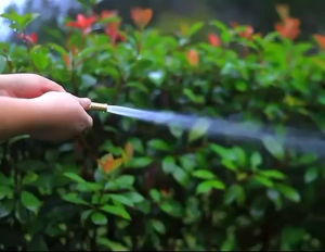 { NY ACC } Kepala Semprotan Air Lurus Kuningan / Konektor Selang Semprotan Hose Nozzle Kuningan