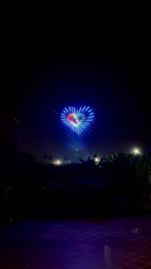 Bảo hành 2 năm - Đèn led chong chóng xoay trang trí Tết 2026 24 tia và 32 tia có Loa  điều khiển  app kết nối 300 hiệu ứng siêu đẹp