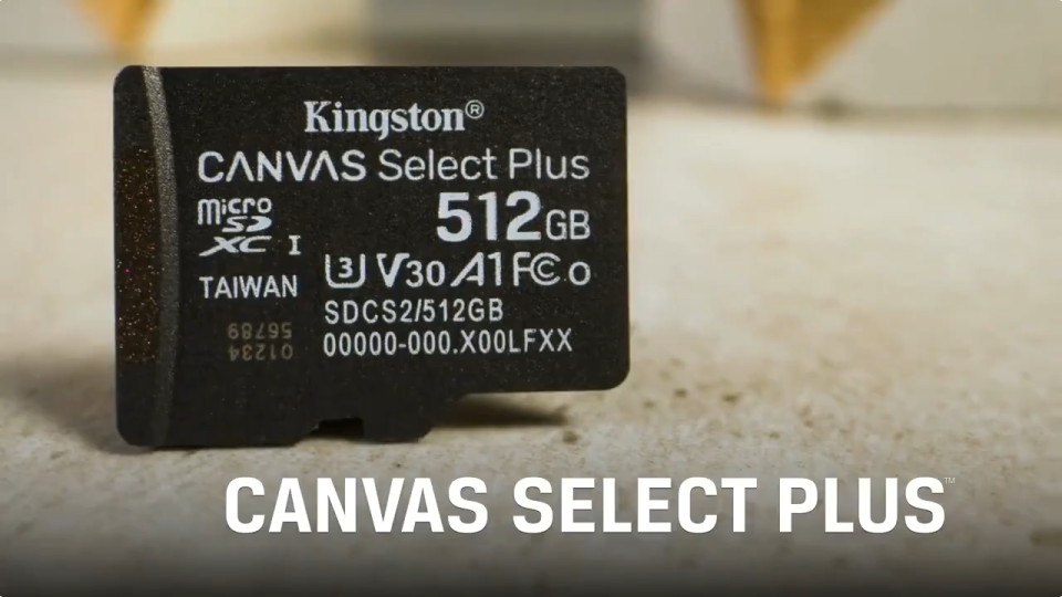 Kingston Class 10 100MB/s 256GB/512GB/1TB Micro SD MSD Memory Card MicroSD