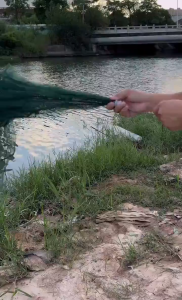 COD 16 lubang Jaring Pancing Jala alat penangkap Ikan Udang Kepiting Lele Lobster Sungai Laut Danau