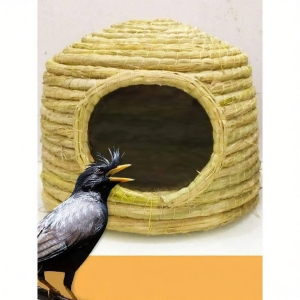 QIZHOU | Warm Parrot Nest