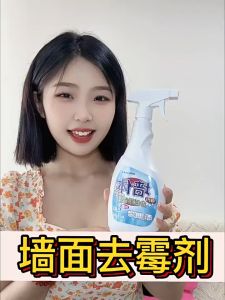 Wall Mold Stain Remover 500ml 墙面除霉剂墙体发霉清除防霉剂