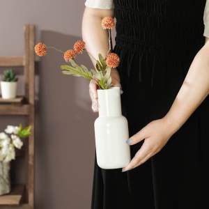 Bình cắm hoa thuỷ tinh bình cắm hoa cổ cao bình cắm hoa decor