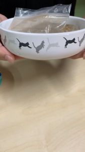 TRIXIE ชุดชามเซรามิคพร้อมเมล็ดหญ้าแมวออร์แกนิค พร้อมปลูก ต้นอ่อนข้าวสาลี หญ้าแมว