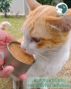 ส่งตรงจากโรงงานผู้ผลิต อาหารแมวเปียก อาหารแมว ปลาทูน่าในเยลลี่ ในเกรวี่ ปลาทูน่าเกรดเอ 1 ลัง 48 กระป๋อง