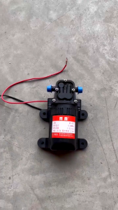 Agricultural Electric Water Pump Dc 12V 3.5l/min Diaphragm Pump Water Sprayer