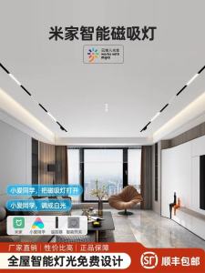 Ultra-Thick 3.0mm Smart Magnetic Track Lights Embedded Full Spectrum No-Main Light Living Room Bedroom Concealed Line Lights