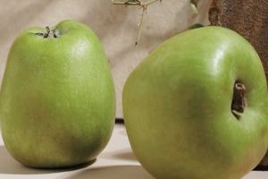 Royale Grocer Fresh Granny Smith Green Apple Hijau S size 1pc/8pcs