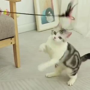 55cm Mainan Kucing Mainan Tongkat Bulu Lonceng Tongkat Bulu Lonceng Krincing Mainan Hewan Peliharaan Kucing