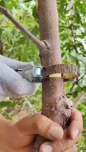 Dụng cụ cắt vòng vỏ cây Kìm bóc vỏ cây chắc chắn Loại bỏ vỏ cây Công cụ vườn chuyên nghiệp.
