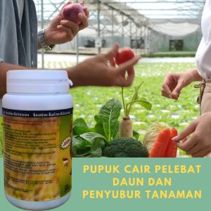 Pupuk Organik Padat untuk Kesuburan Tanah & Pertumbuhan Tanaman yang Optimal