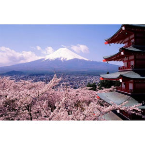 Jigsaw Puzzle 500/1000/1200/2000PCS Fuji Mountain Landscape Artwork Mindful Game Stress Relief Decor Gift