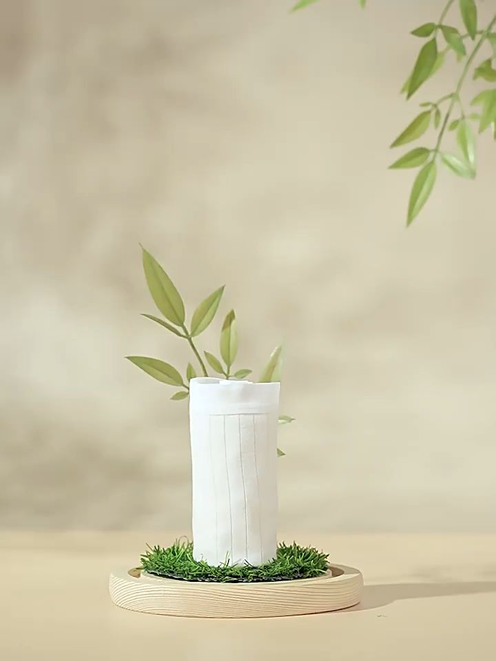 [High Waist] Premium Badigo Badigao (3pcs/pack) Disposable Women Underwear Panties for Maternity Travel Pregnancy 一次性内裤女用高腰产妇